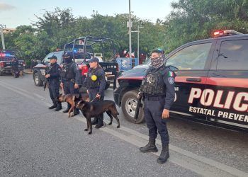 «La Unidad K9 de la SSC: Guardianes de la Seguridad en Quintana Roo»
