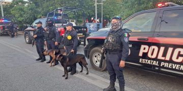 «La Unidad K9 de la SSC: Guardianes de la Seguridad en Quintana Roo»