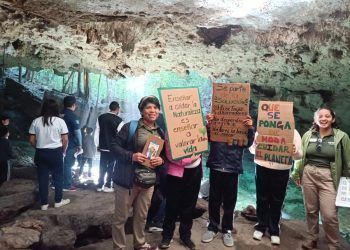 La Fundación Eco-Bahía: Líder en Educación Ambiental y Compromiso con la Conservación