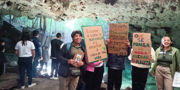 La Fundación Eco-Bahía: Líder en Educación Ambiental y Compromiso con la Conservación