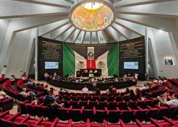 Aprueban reforma para proteger a los animales en Quintana Roo