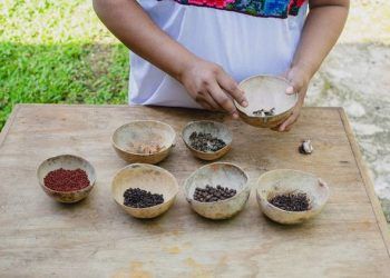 Recados de Yucatán: Un Viaje por los Sabores del Sureste Mexicano