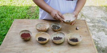 Recados de Yucatán: Un Viaje por los Sabores del Sureste Mexicano