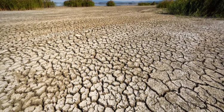 México Ante la Inminente Llegada de «La Niña»: Sequías y Altas Temperaturas Preocupan