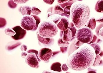 Llega a México innovadora terapia para pacientes con anemia por Síndrome Mielodisplásico