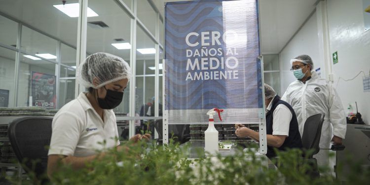 El Centro de Desarrollo Agrícola Sabritas revoluciona los agronegocios en México