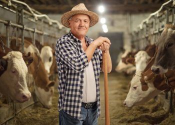 Potencia mundial: México se posiciona como el sexto productor de carne de bovino a nivel global