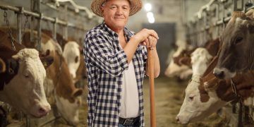 Potencia mundial: México se posiciona como el sexto productor de carne de bovino a nivel global