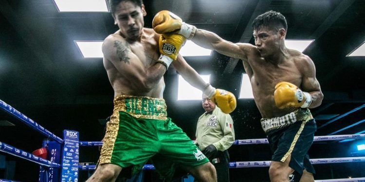 Marvin “Terremoto” González Domina en “Por Amor al Box” con Victoria por Nocaut Técnico
