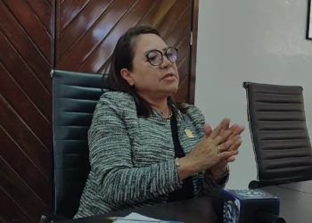 Por maltrato y violencia del Dr. Pech, la diputada Maritza Deyanira se va del MC
