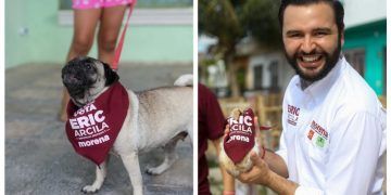 Eric Arcila Arjona se Compromete a Mejorar la Legislación para la Protección de Mascotas en Cancún