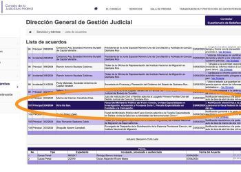 Tesorera de Solidaridad se ampara