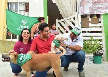 «Estefanía Mercado Impulsa Brigadas de Bienestar Animal y Clínicas Veterinarias Gratuitas en Playa del Carmen»