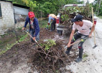 Ayuntamiento de Othón P. Blanco atiende desazolve de canal pluvial en Morocoy