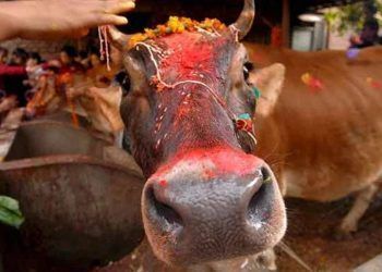 Las “vacas sagradas” del periodismo, condenadas a la extinción