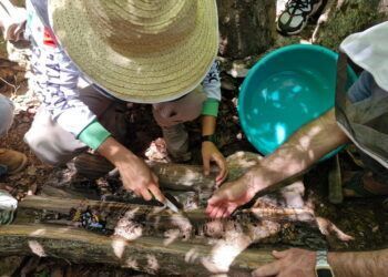 Fundación Holcim y los Guardianes Comunitarios de Laguna Manatí: Preservando la Cultura Maya y Promoviendo la Sostenibilidad