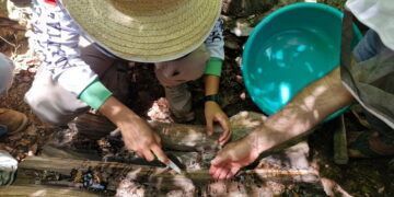 Fundación Holcim y los Guardianes Comunitarios de Laguna Manatí: Preservando la Cultura Maya y Promoviendo la Sostenibilidad