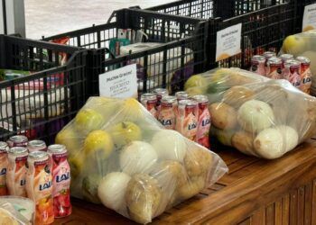 Donan infraestructura, equipo y maquinaria en Cancún, QR, buscan combatir el hambre y beneficiar a  280 mil personas
