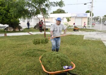 Yensunni Martínez intensifica podado y atención de áreas verdes en Chetumal