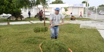 Yensunni Martínez intensifica podado y atención de áreas verdes en Chetumal