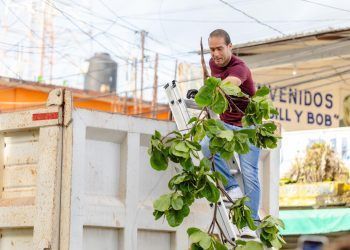 Tulum está de pie: Diego Castañón activa jornada de limpieza masiva en la cabecera municipal