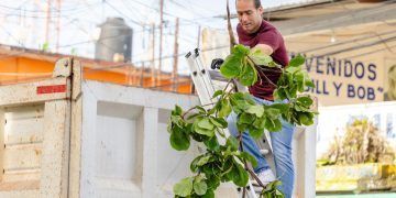 Tulum está de pie: Diego Castañón activa jornada de limpieza masiva en la cabecera municipal