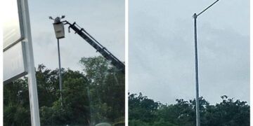 Solidaridad en Alerta: Personal de Alumbrado Público Sorprendido Desvalijando Lámparas