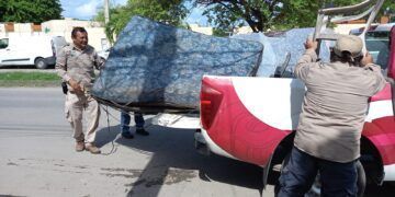 Recolectan más de 8 toneladas en jornada de descacharrización en Chetumal