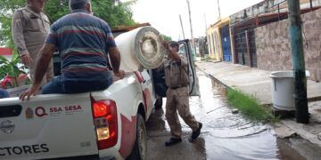 Recolectan más de 5 toneladas en jornada de descacharrización en Chetumal