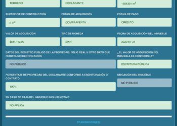 Mirella Díaz Aguilar, exdirectora del DIF Solidaridad y ex diputada local suplente es investigada por presuntas irregularidades