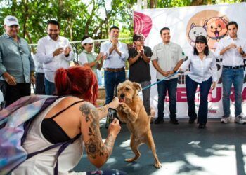 Estefanía Mercado y Eugenio Segura encabezan jornada de bienestar animal en Playa del Carmen