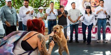 Estefanía Mercado y Eugenio Segura encabezan jornada de bienestar animal en Playa del Carmen