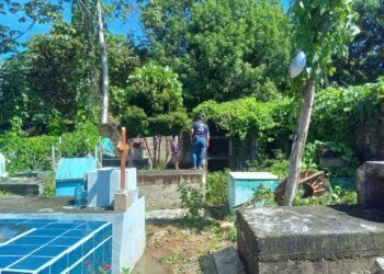 Amigos de Nivardo Mena limpian panteón local