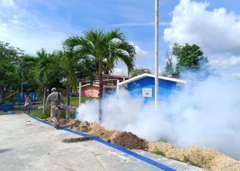 Quintana Roo en un logro histórico, avanza en la lucha contra el dengue, pasa del lugar 3 al 22 en la tabla de casos: Mara Lezama