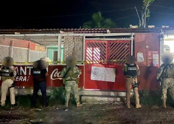 Asegura FGE y Ejército drogas en cateo realizado en Othón P. Blanco