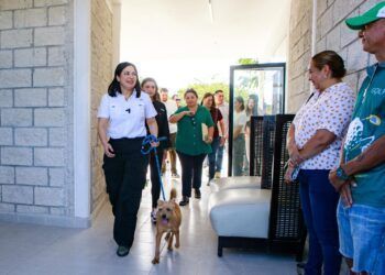 El bienestar animal es un compromiso de todos; Estefanía Mercado presenta el proyecto “Rehabilitación del Centro de Control Animal, Asistencia y Zoonosis”