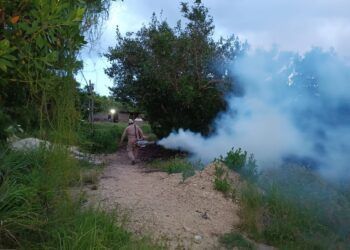 Realizan jornada de fumigación en Holbox para prevenir enfermedades tras huracán “Miltón”
