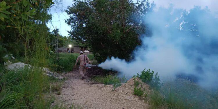 Realizan jornada de fumigación en Holbox para prevenir enfermedades tras huracán “Miltón”