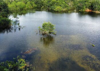 Protección Civil alerta de los peligros que se corre en las “sascaberas”