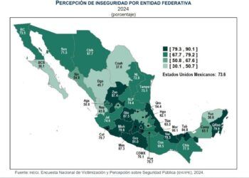 Seguridad, segundo tema importante del gobierno