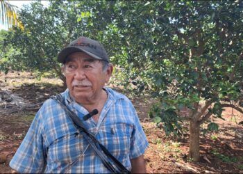 Campesinos denuncian abandono gubernamental en José María Morelos: la lucha por el campo continúa