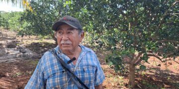 Campesinos denuncian abandono gubernamental en José María Morelos: la lucha por el campo continúa