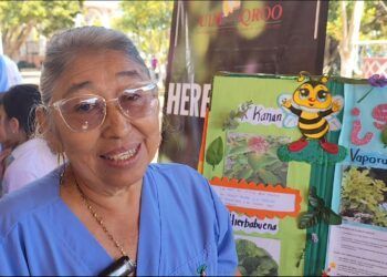 La voz de la sabiduría maya: Rosa María Cime Xicum y su lucha por preservar la medicina tradicional