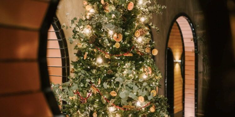 Casa Hoyos: Celebra una Navidad inolvidable en el corazón de San Miguel de Allende