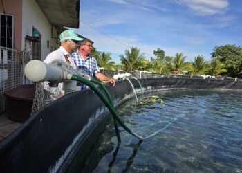 Certificación de Granjas Acuícolas y Pesca Impulsa el Comercio y Fortalece Cadenas Productivas en Quintana Roo: SEDARPE