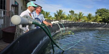 Certificación de Granjas Acuícolas y Pesca Impulsa el Comercio y Fortalece Cadenas Productivas en Quintana Roo: SEDARPE