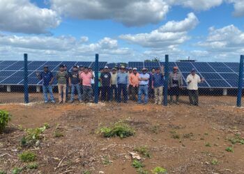Avanza tecnificación del campo en la Zona Maya de Quintana Roo