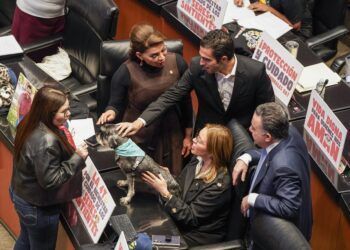 Gino Segura vota a favor de la reforma constitucional para el bienestar animal