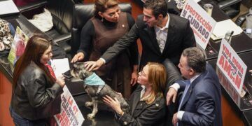 Gino Segura vota a favor de la reforma constitucional para el bienestar animal