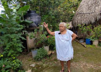 José María Morelos: Un suelo de Café Olvidado en el Corazón de Quintana Roo